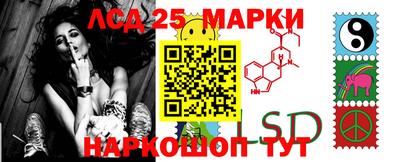 крисы Тверь