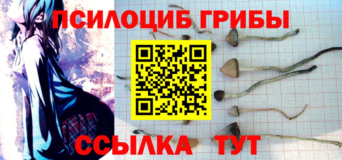 Псилоцибиновые грибы GOLDEN TEACHER  Вход с VPN  Галлюциногенные грибы MAGIC MUSHROOMS  Нерюнгри 